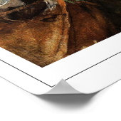 John Singer Sargent Zedign Art Poster #358 (Hoek)