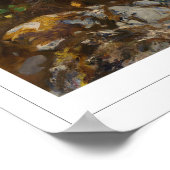 John Singer Sargent Zedign Art Poster #7 (Hoek)