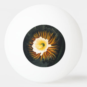 John Thornton De nachtblazende Cereus Botanical Pingpongballen