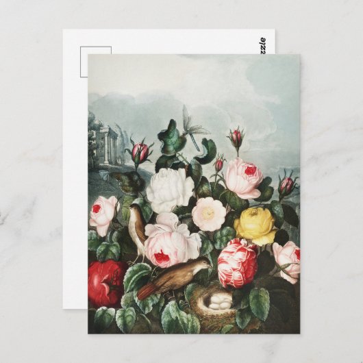 John Thornton Rozen uit De Tempel van Flora Briefkaart (Voorkant / Achterkant)