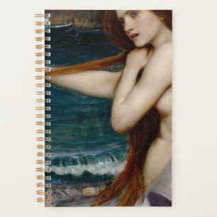 John William Waterhouse Mermaid