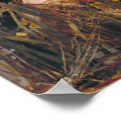 John William Waterhouse The Lady of Shalott Poster (Hoek)