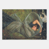 John Williams Waterhouse Pre Raphaelite Inpakpapier Vel (Voorkant 3)
