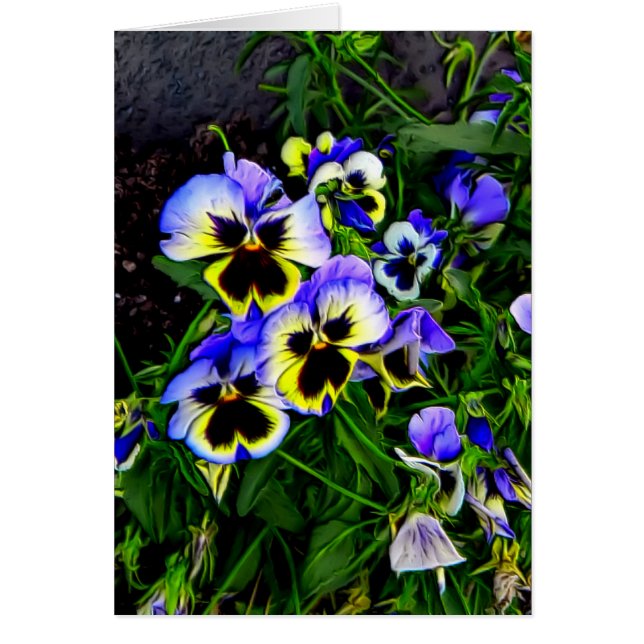 Johnny Jump Up (Devant)