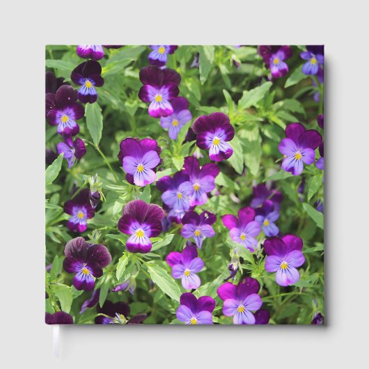 Johnny Pop Ups Gastenboek (Voorkant)