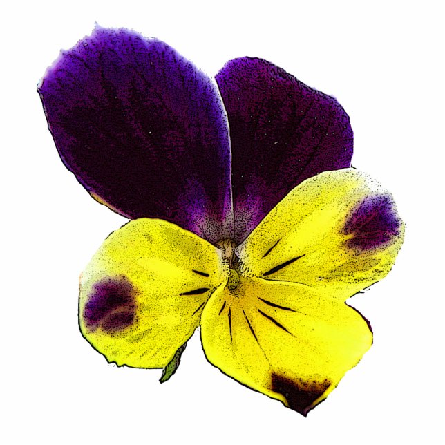 Johnny springt omhoog met kerst acryl fotobeeldje ornament (Voorkant)