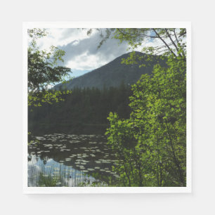 Johns Lake I in Glacier National Park Servet