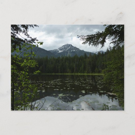 Johns Lake II in Glacier National Park Briefkaart (Voorkant)