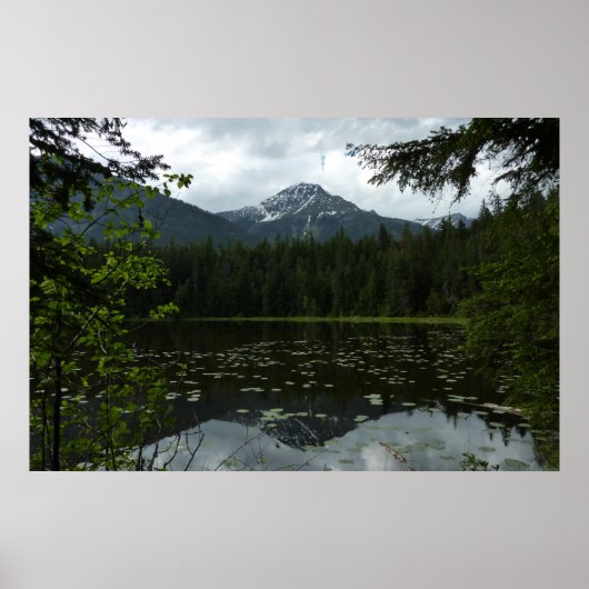 Johns Lake II in Glacier National Park Poster (Voorkant)