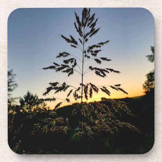 Johnson Grass Bier Onderzetter (Voorkant)