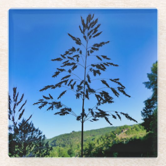 Johnson Grass Glazen Onderzetter (Voorkant)