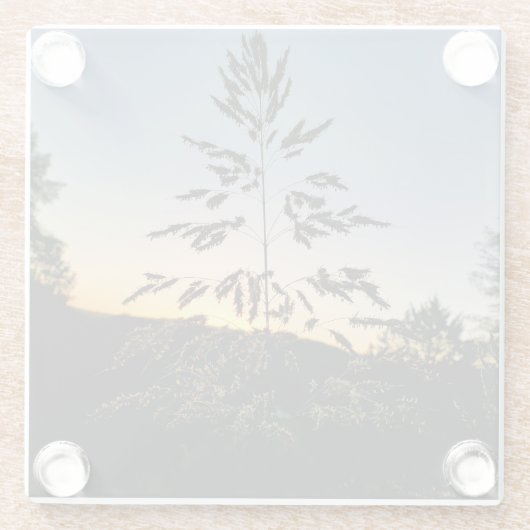 Johnson Grass Glazen Onderzetter (Achterkant)