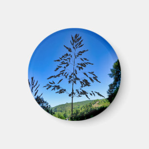 Johnson Grass Magneet