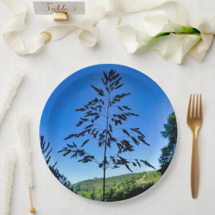 Johnson Grass Paper Bord