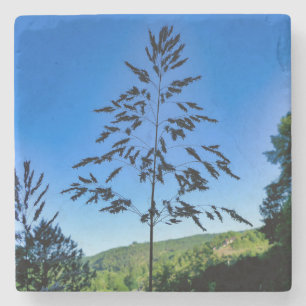 Johnson Grass Stenen Onderzetter