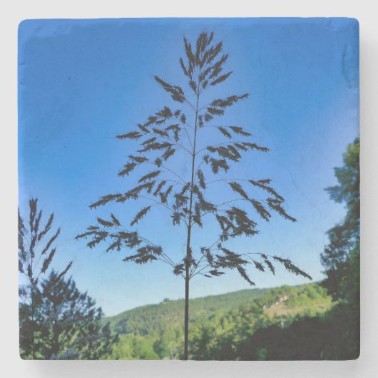 Johnson Grass Stenen Onderzetter (Voorkant)