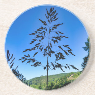 Johnson Grass Zandsteen Onderzetter