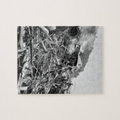 Johnstown Flood Train Wreck  1889 Legpuzzel (Horizontaal)