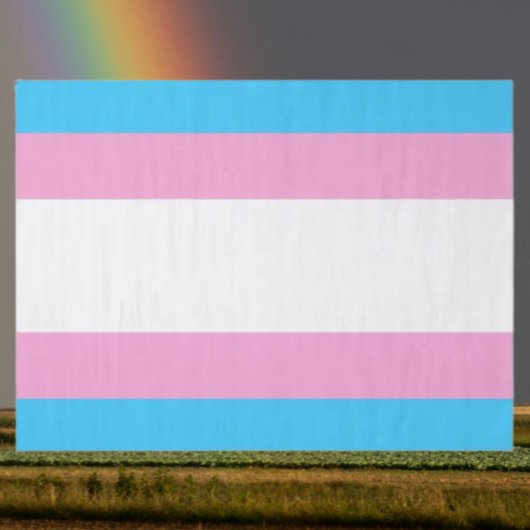 Joie de papier de soie de Fierté Trans