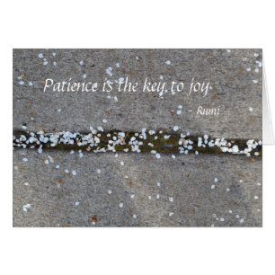 Joie de Rumi de pétales de ressort