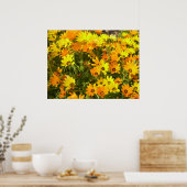 Joie de Vivre (1) Poster (Cuisine)