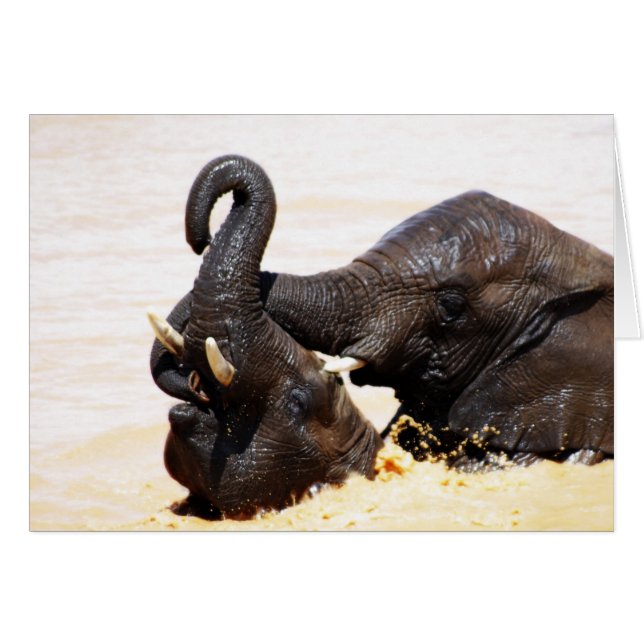 joie Rumi Soul (Devant horizontal)