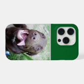 Joies Idiotes : chiot Labrador brun au chocolat, (Verso Horizontal)