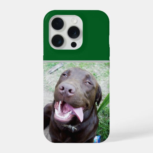 Joies Idiotes : chiot Labrador brun au chocolat, (Verso)