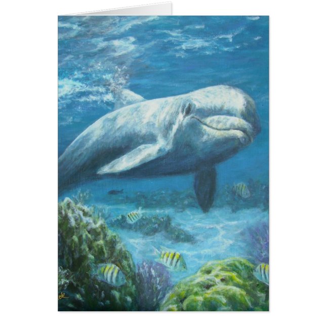 jojopaintings (Voorkant)