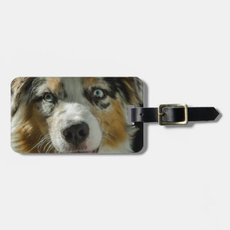 Joker Boy Bagagelabel