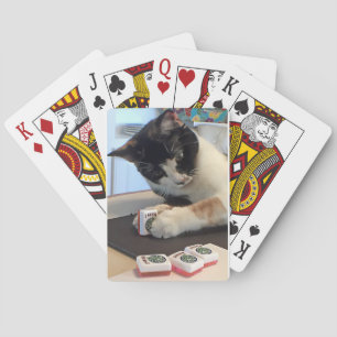Joker cat pokerkaarten