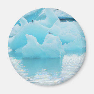 Jökulsárlón Magneet