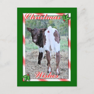 JoleeChristmasPcard-pas aan Feestdagenkaart