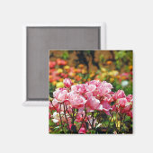 Joli aimant avec des roses roses (Recto/Verso)