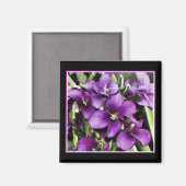 joli aimant de fleur violette (Recto/Verso)