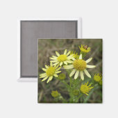 Joli aimant Fleur sauvage jaune (Recto/Verso)