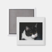 Joli aimant Kitty (Recto/Verso)