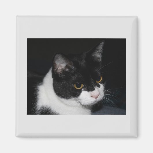 Joli aimant Kitty (Devant)