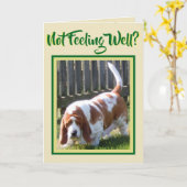 Joli "Basset Hound" Avec Daisy Sur Carte "Get Well (Fleur jaune)
