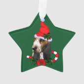 Joli Basset Hound Noël (dos)