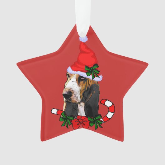 Joli Basset Hound Noël (devant)