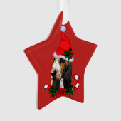 Joli Basset Hound Noël (devant)