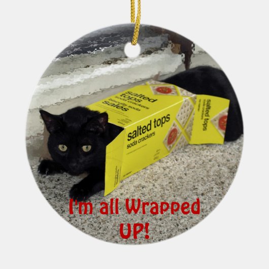 Joli Black Kitten Ornement de Noël (Devant)