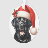 Joli Black Labrador Retriever Père Noël Chien Noël (devant)
