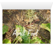 Joli blanc Lilac Bush (Intérieur Horizontal (Bas))