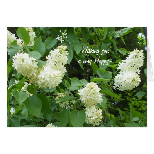 Joli blanc Lilac Bush (Devant horizontal)