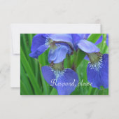 Joli bleu iris fleurs mariage RSVP réponse carte (Dos)
