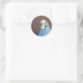 Joli Bleu Parakeet Photo Sticker Rond Classique (Sac)