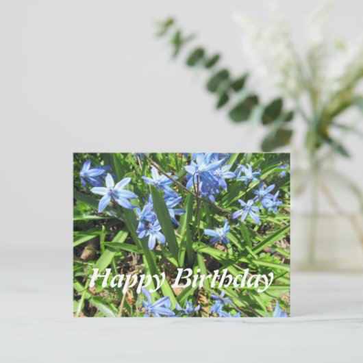 Joli Blue Scilla Flower Photo Anniversaire Carte p (Debout devant)