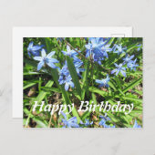 Joli Blue Scilla Flower Photo Anniversaire Carte p (Devant / Derrière)